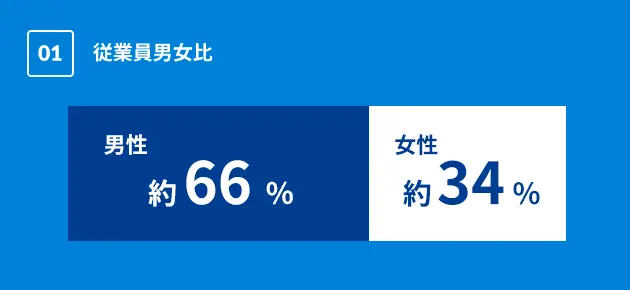 従業員男女比